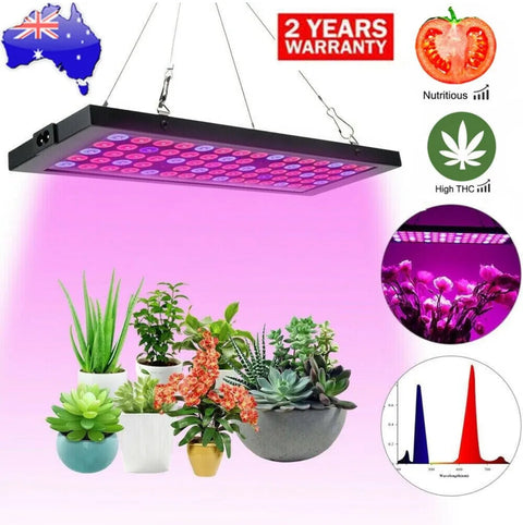 1000W LED GROW LIGHT KIT FULL SPECTRUM INDOOR PLANT GROWTH HYDROPONIC SYSTEM NE/1