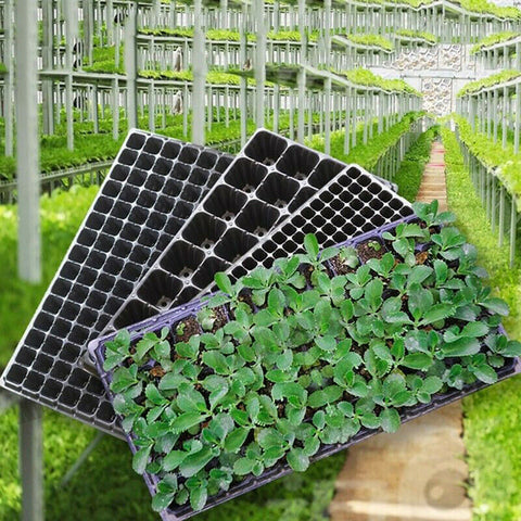12x 72 Hole Plant Seed Grow Box Insert Propagation Nursery Seedling Starter Tray - Bright Tech Home