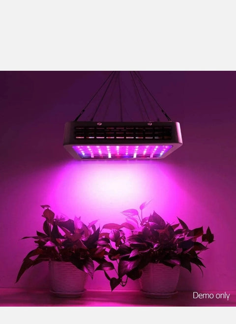 1000W LED Grow Light Kit Full Spectrum Indoor Plant Growth Hydroponic System New - Bright Tech Home