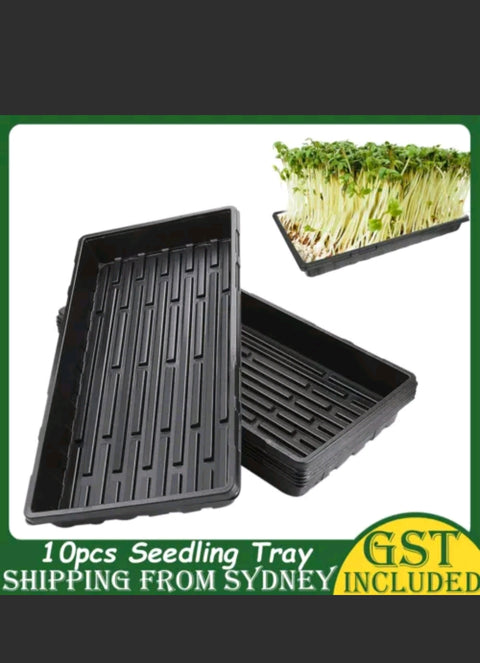 10 Pcs Garden Black Plastic Rectangle Plant Seedling Propagation Seeding Tray AU